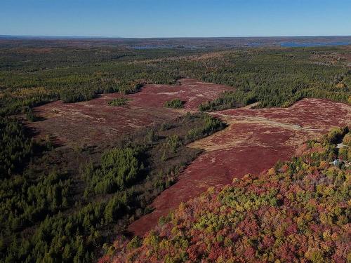 Bengal-Oceanview Road, Albert Bridge, NS 