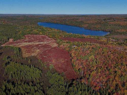 Bengal-Oceanview Road, Albert Bridge, NS 