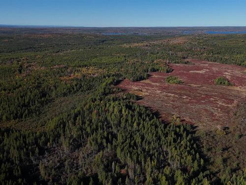 Bengal-Oceanview Road, Albert Bridge, NS 