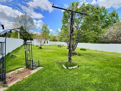 Backyard - 137 Ch. Des Bois-Francs E., Thetford Mines, QC - Outdoor