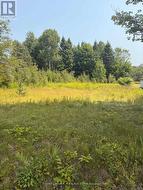 3995 BOULTER ROAD  Hastings Highlands (Wicklow Ward), ON K0L 1C0