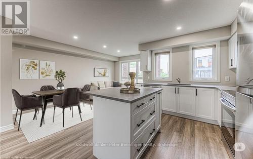 253 Chapel Hill Drive, Kitchener, ON - Indoor Photo Showing Kitchen With Upgraded Kitchen