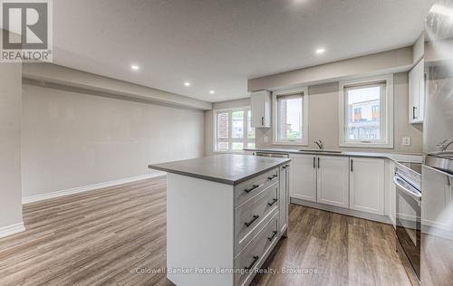 253 Chapel Hill Drive, Kitchener, ON - Indoor Photo Showing Kitchen