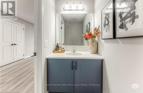 253 Chapel Hill Drive, Kitchener, ON - Indoor Photo Showing Bathroom