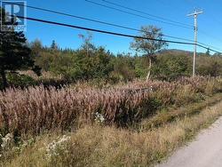 174 Pond Road Rocky Harbour, NL A0K 4N0