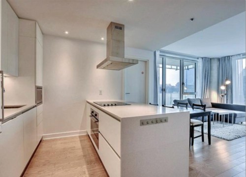 Cuisine - 2206-1211 Rue Drummond, Montréal (Ville-Marie), QC - Indoor Photo Showing Kitchen