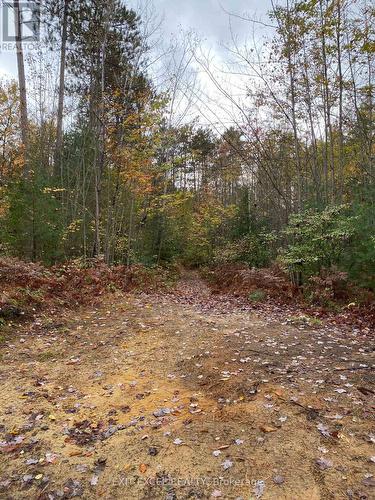 Part 2, Plan 46R-8228 Boundary Rd Road, Alfred And Plantagenet, ON 