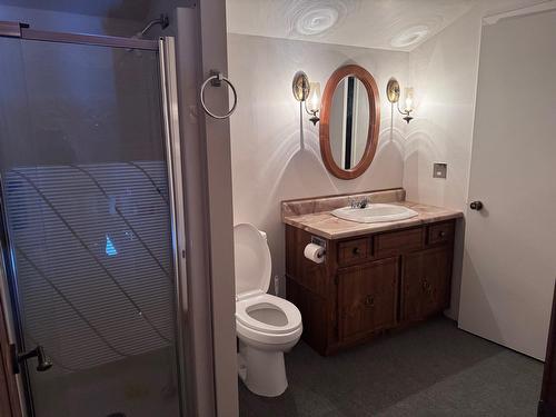 Salle de bains - 50 Rue Reid, Drummondville, QC - Indoor Photo Showing Bathroom