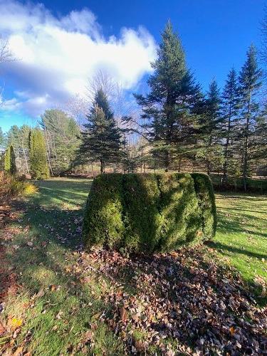 Extérieur - 50 Rue Reid, Drummondville, QC - Outdoor With View