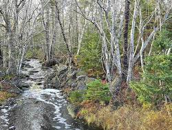 Lot 16 Eastern Shore Road  Port Medway, NS B0J 1H0