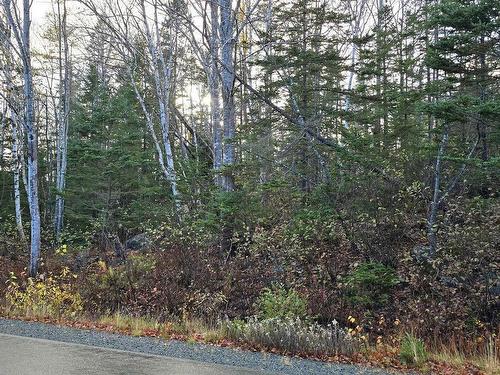 Lot 16 Eastern Shore Road, Port Medway, NS 