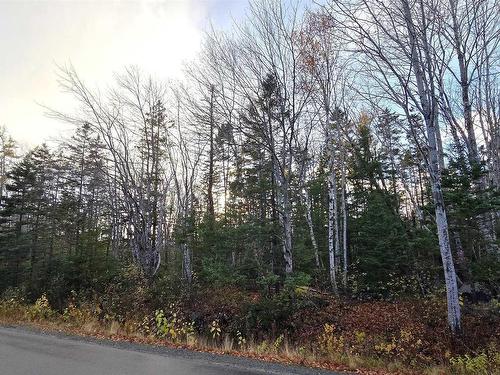 Lot 16 Eastern Shore Road, Port Medway, NS 