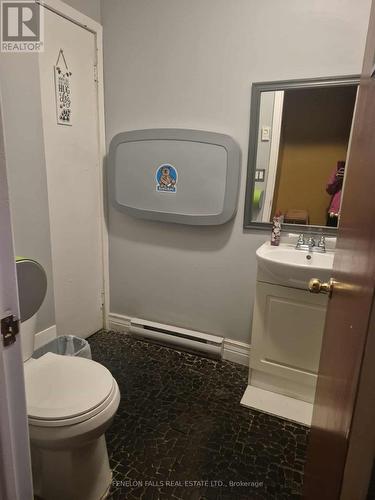 69 Colborne Street, Kawartha Lakes (Fenelon Falls), ON 