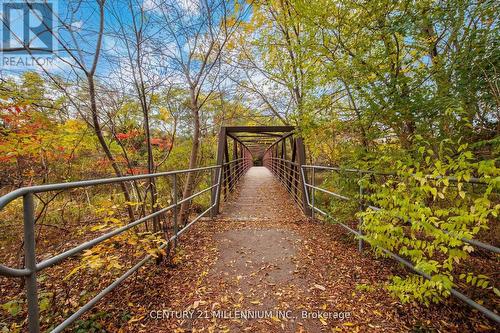 2 Pine Cliff Drive, Mississauga, ON - Outdoor