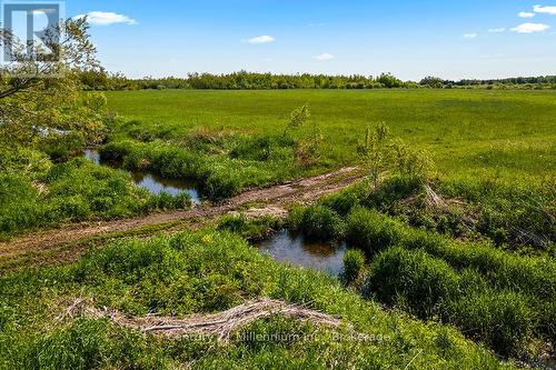 375533 6Th Line, Amaranth, ON 