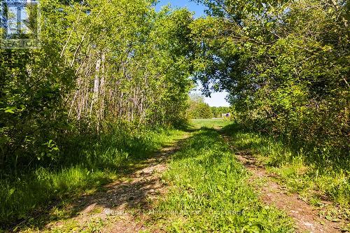 375533 6Th Line, Amaranth, ON 
