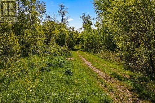 375533 6Th Line, Amaranth, ON 