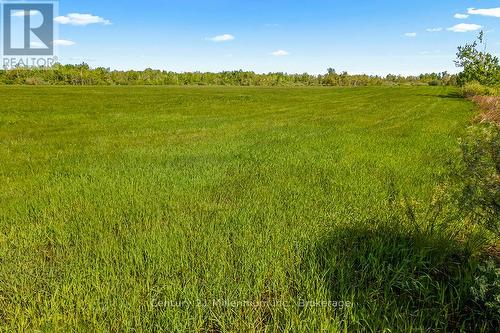 375533 6Th Line, Amaranth, ON 