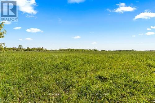 375533 6Th Line, Amaranth, ON 