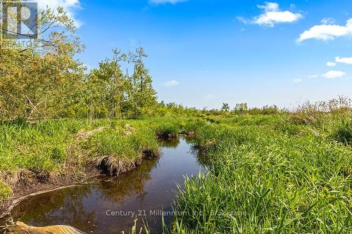 375533 6Th Line, Amaranth, ON 