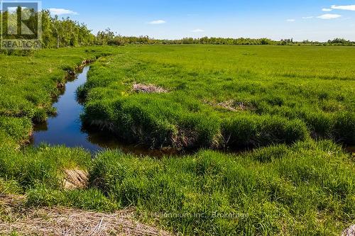 375533 6Th Line, Amaranth, ON 