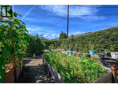 2024 - Exploding with produce.. - 5826 Bartlett Road, Vernon, BC - Outdoor