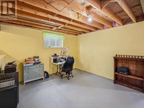 8 Tessa Boulevard, Belleville (Belleville Ward), ON - Indoor Photo Showing Basement
