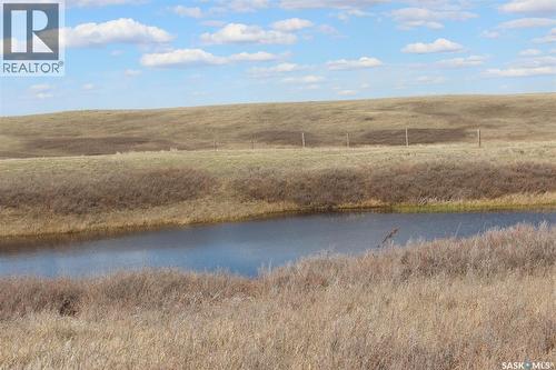 Large Cattle Ranch, Lacadena Rm No. 228, SK 