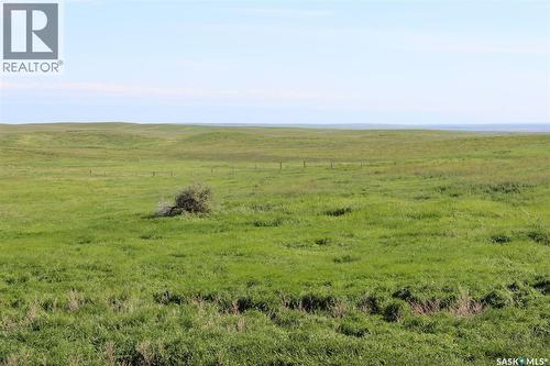 Large Cattle Ranch, Lacadena Rm No. 228, SK 