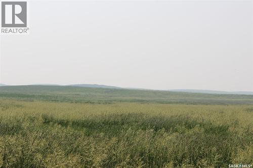 Large Cattle Ranch, Lacadena Rm No. 228, SK 