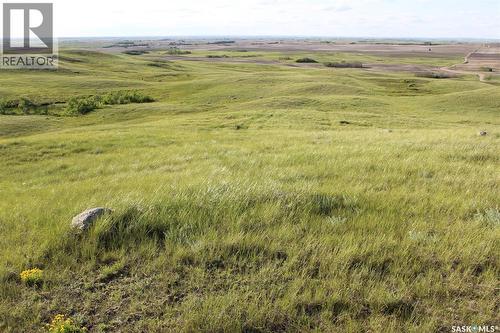 Large Cattle Ranch, Lacadena Rm No. 228, SK 