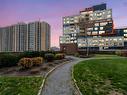 702 1465 Brenton Street, Halifax, NS 