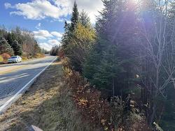 Lot Highway 331  Petite Rivière, NS B4V 5Y6