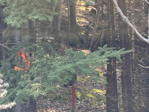 Lot Highway 331, Petite Rivière, NS 