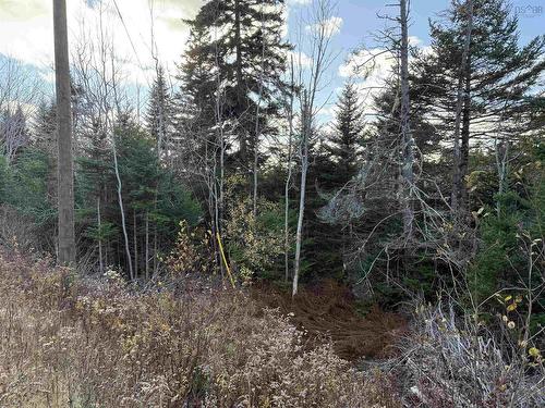Lot Highway 331, Petite Rivière, NS 