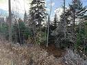 Lot Highway 331, Petite Rivière, NS 
