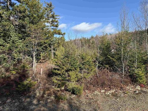 Lot Highway 331, Petite Rivière, NS 
