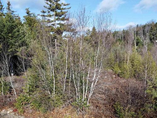 Lot Highway 331, Petite Rivière, NS 