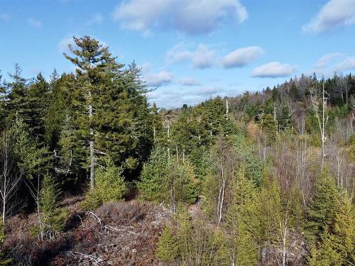 Lot Highway 331, Petite Rivière, NS 