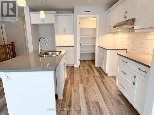 110 Styles Drive, St. Thomas, ON - Indoor Photo Showing Kitchen With Double Sink