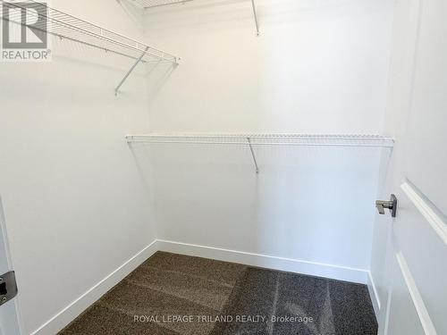 110 Styles Drive, St. Thomas, ON - Indoor With Storage