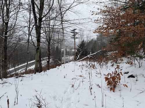 Extérieur - 1750  - 1752 Rue Marie-Louise-Vallée, Mont-Tremblant, QC - Outdoor With View