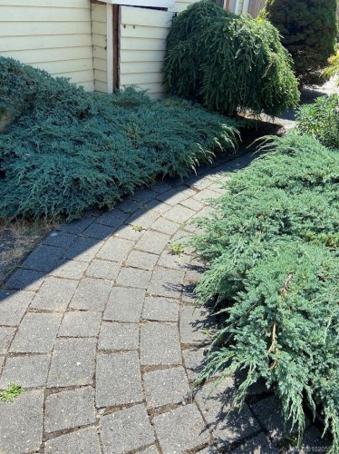 2329 Dowler Pl, Victoria, BC - Outdoor