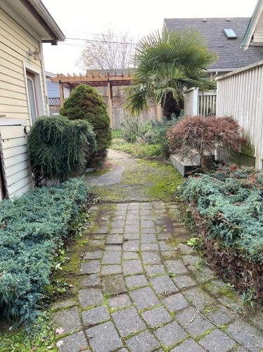 2329 Dowler Pl, Victoria, BC - Outdoor