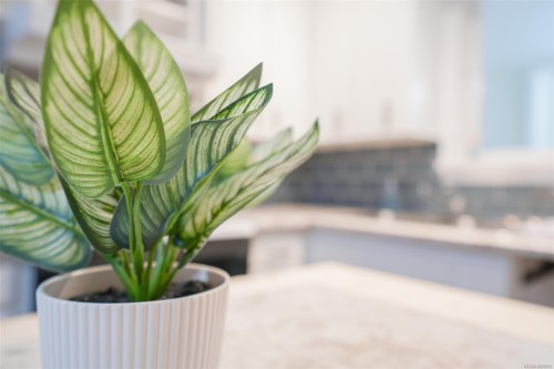 4865 Burde St, Port Alberni, BC 