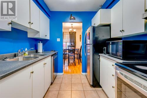 16 Hickman Place, St. John'S, NL - Indoor Photo Showing Kitchen With Double Sink