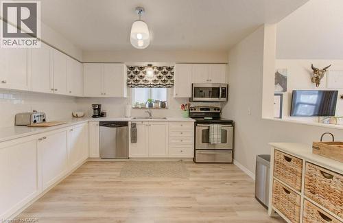 707 Paris Boulevard, Waterloo, ON - Indoor Photo Showing Kitchen With Stainless Steel Kitchen With Double Sink