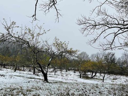 Lot 2025 Clarence Road, Central Clarence, NS 