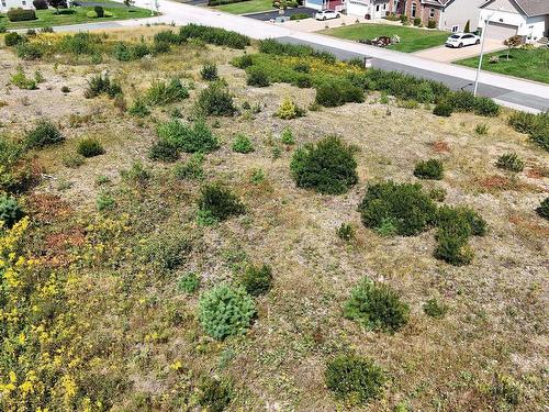 Lot 24 Falcon Drive, Canaan, NS 