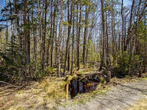 Lot 50N Secret Road, Briar Lake, NS 